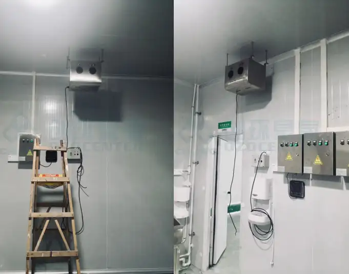 广东惠州水果生鲜加工厂使用臭氧杀菌_2